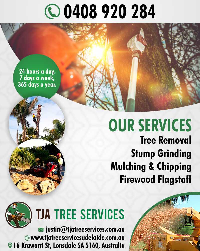 Stump Removal | TJA Tree Services